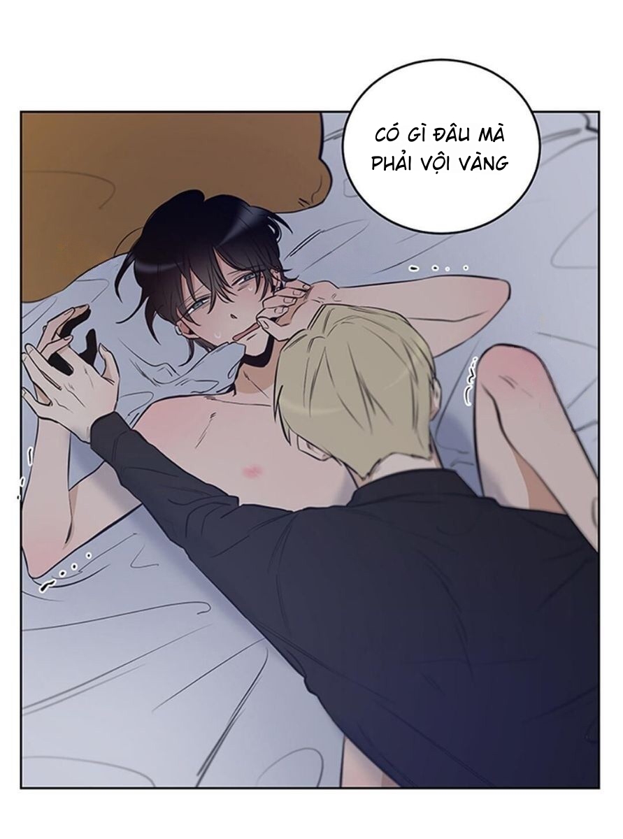 thành phố cạm bẫy chapter 5 24