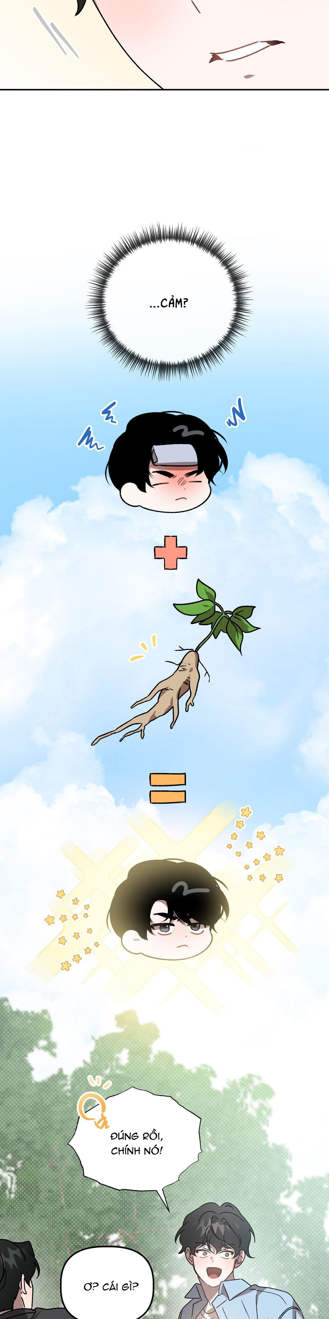 đã hiểu chưa chapter 50 24