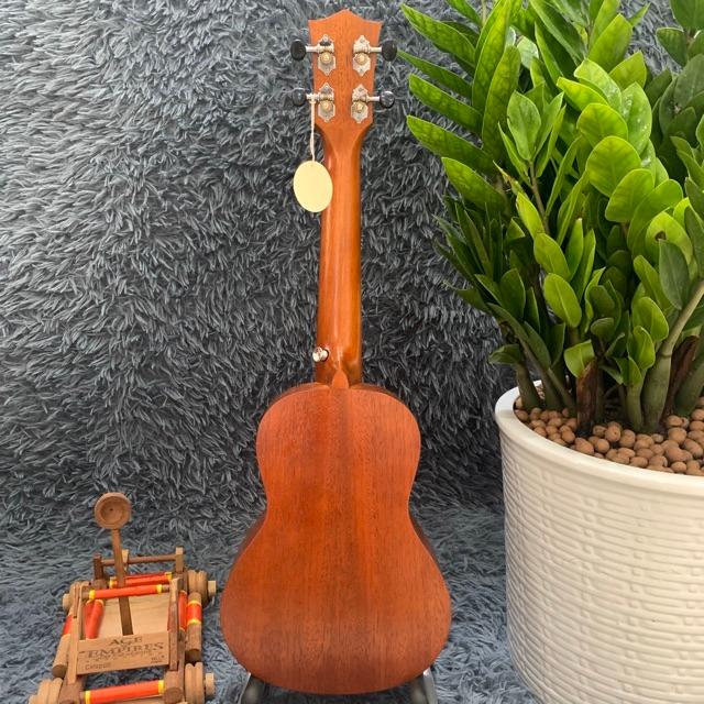 ĐÀN UKULELE CONCERT MG AKLOT