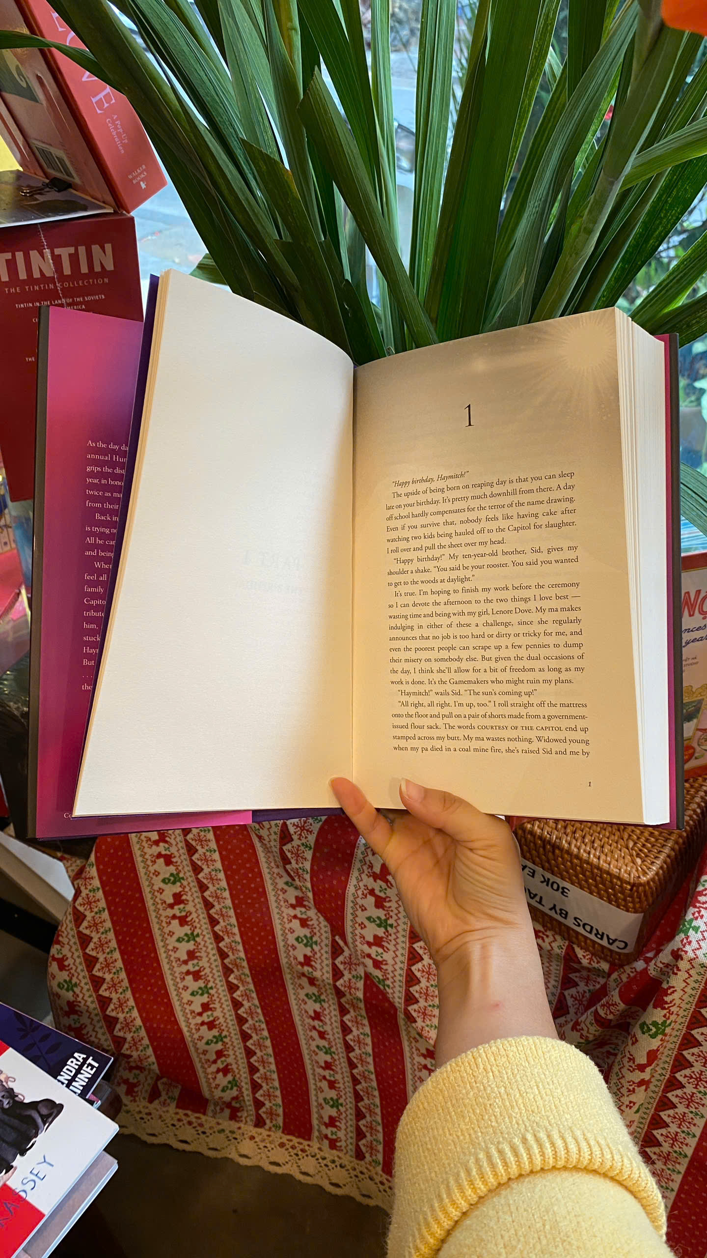 Sách - Sunrise on the Reaping (The Hunger Games) by Suzanne Collins | English Fiction