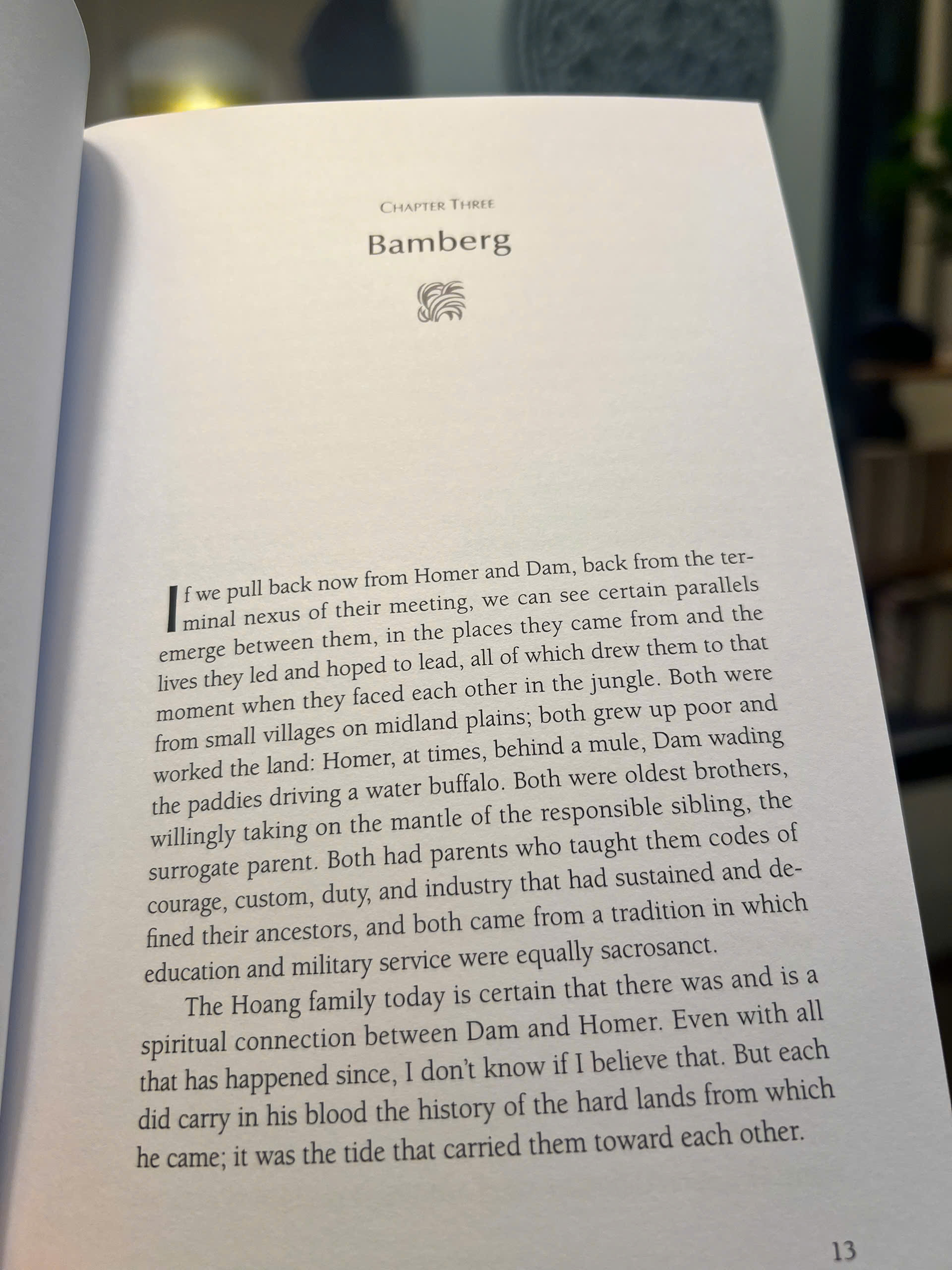 Sách - Wandering Souls: Journeys With the Dead &amp; the Living in Viet Nam by Wayne Karlin / Ngoại văn