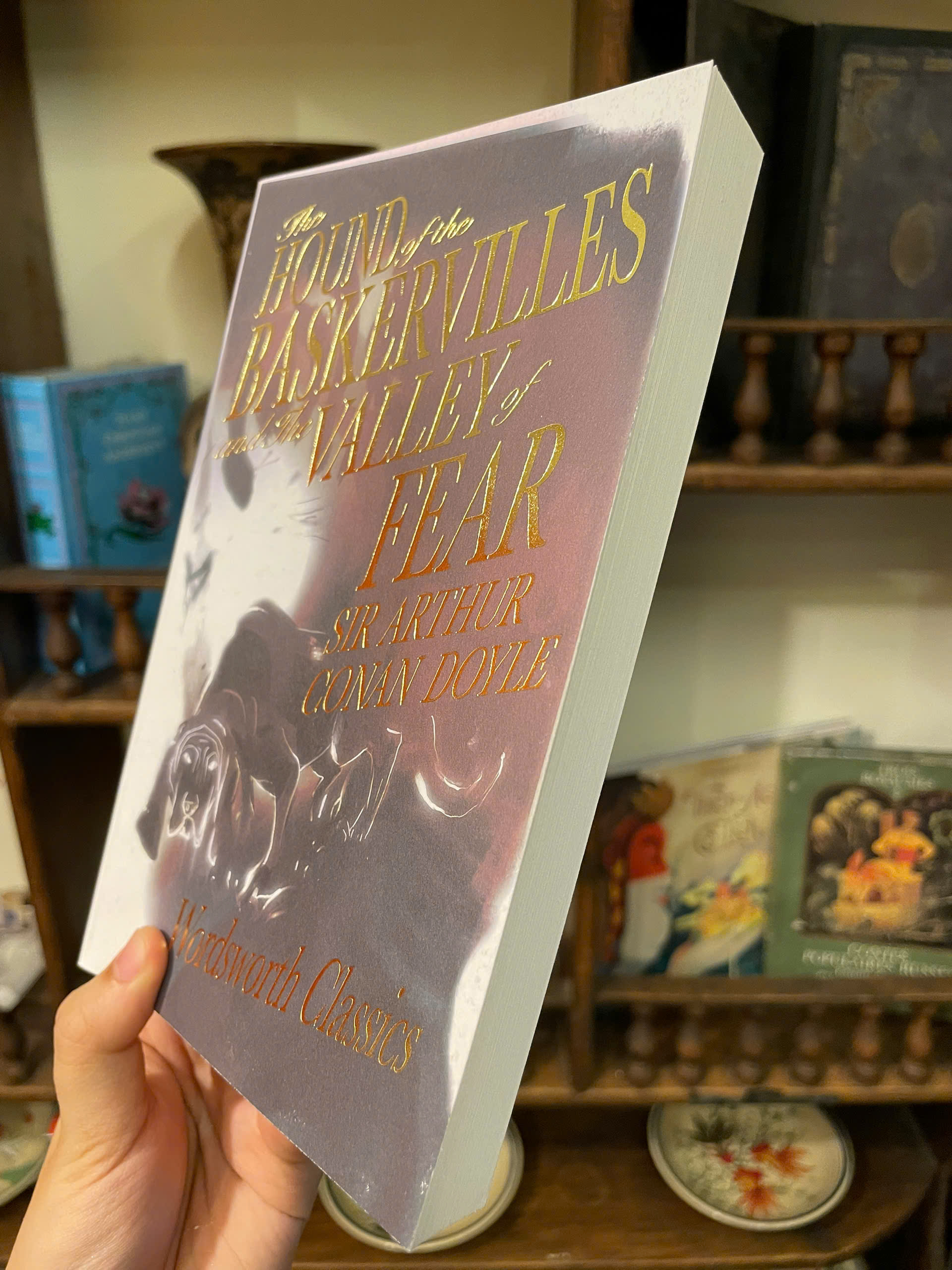 Sách - The Hound of the Baskervilles &amp; The Valley of Fear (Sherlock Holmes) by Arthur Conan Doyle