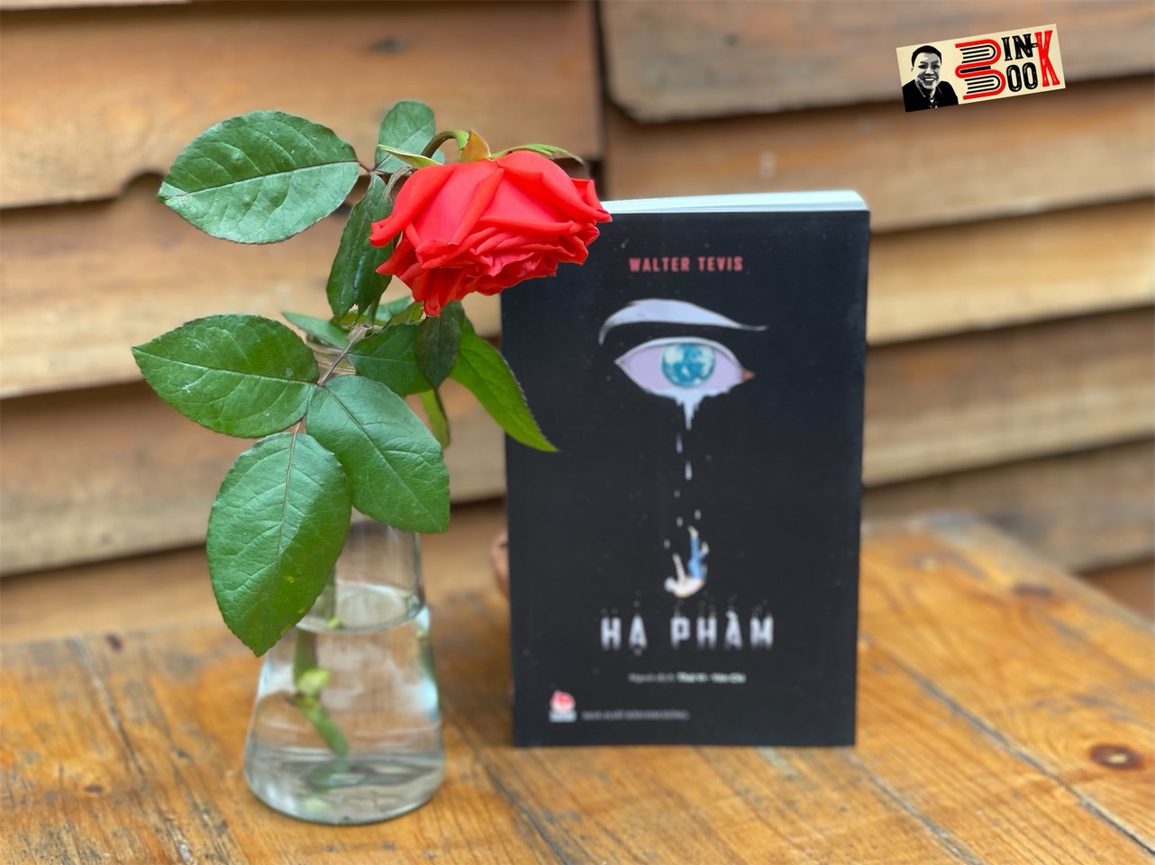 HẠ PHÀM - Walter Tevis - Thái Vi, Yên Chi dịch - Nxb Kim Đồng