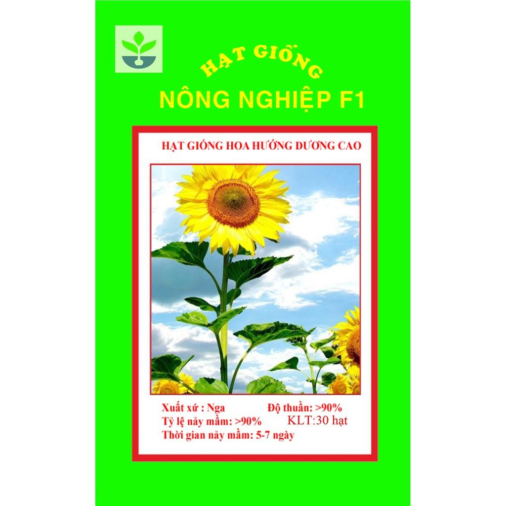 Gói 30 hạt giống hướng dương cao
