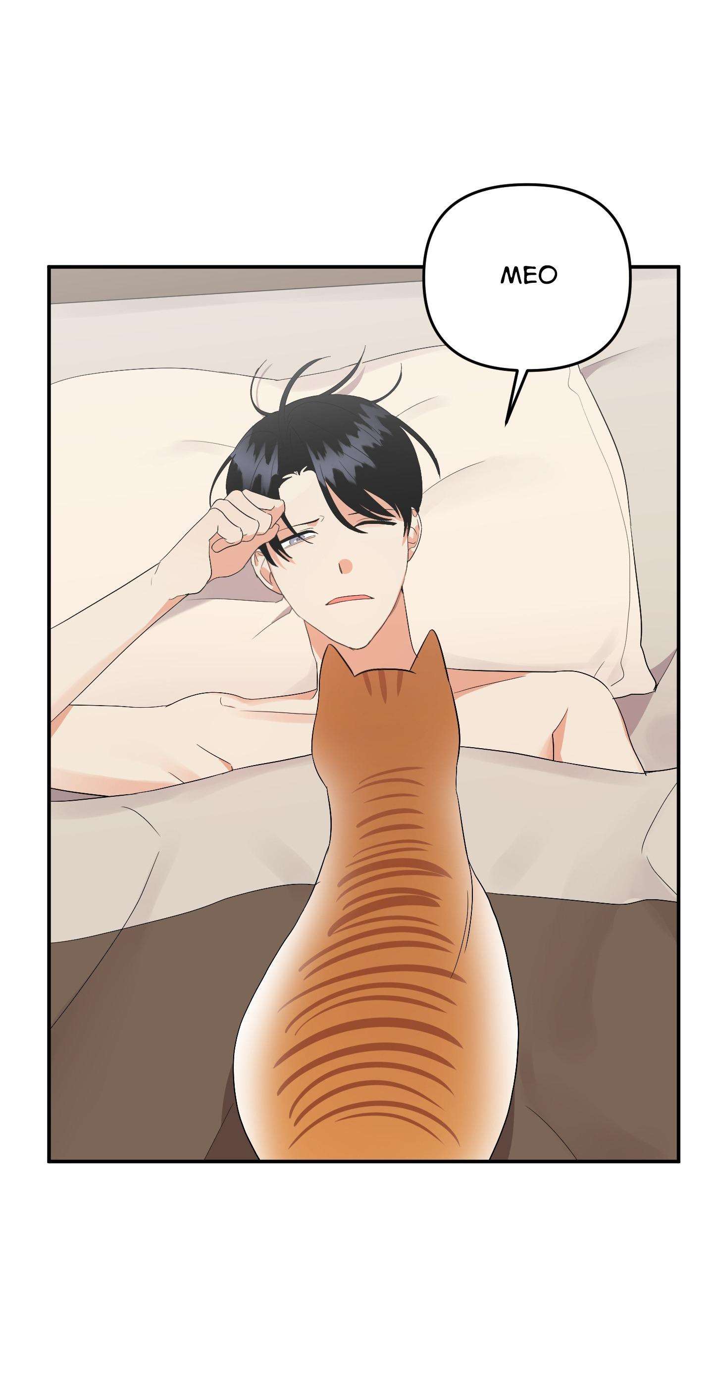 tên xấu xa của tôi xxx chapter 54 39