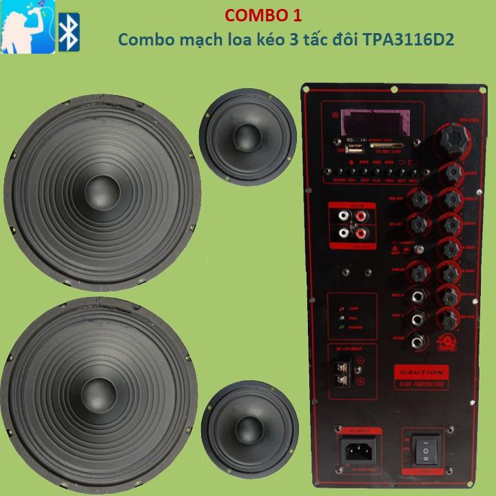 Combo Mạch loa kéo 3 tấc đôi TPA3116D2 2 kênh riêng biệt