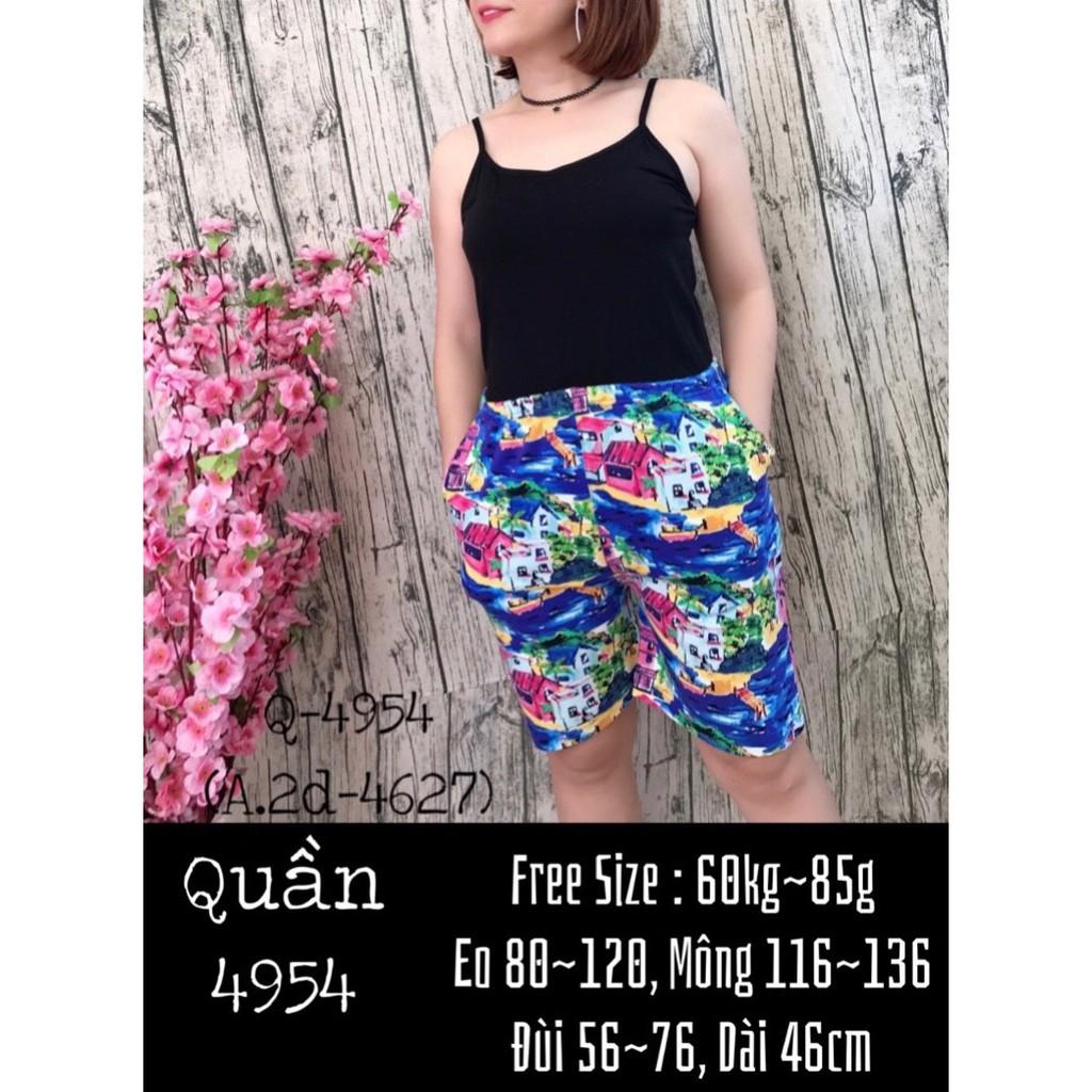 4479 - 4806 - 4954 - Combo [3Q=200k] Quần sọt short đùi mặc nhà BIG SIZE- quan-mac-nha