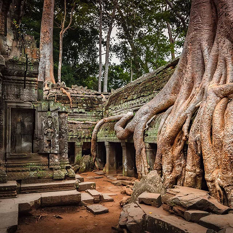 Tour Campuchia 4N3Đ: Siem Reap - PhnomPenh, Thứ 5 Hàng Tuần