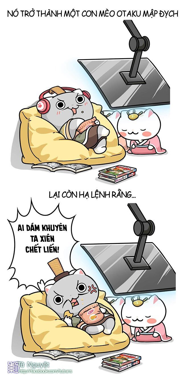 nếu lịch sử là một bầy mèo chapter 16 11