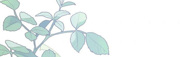 cách che giấu đứa con của hoàng đế chapter 43 311