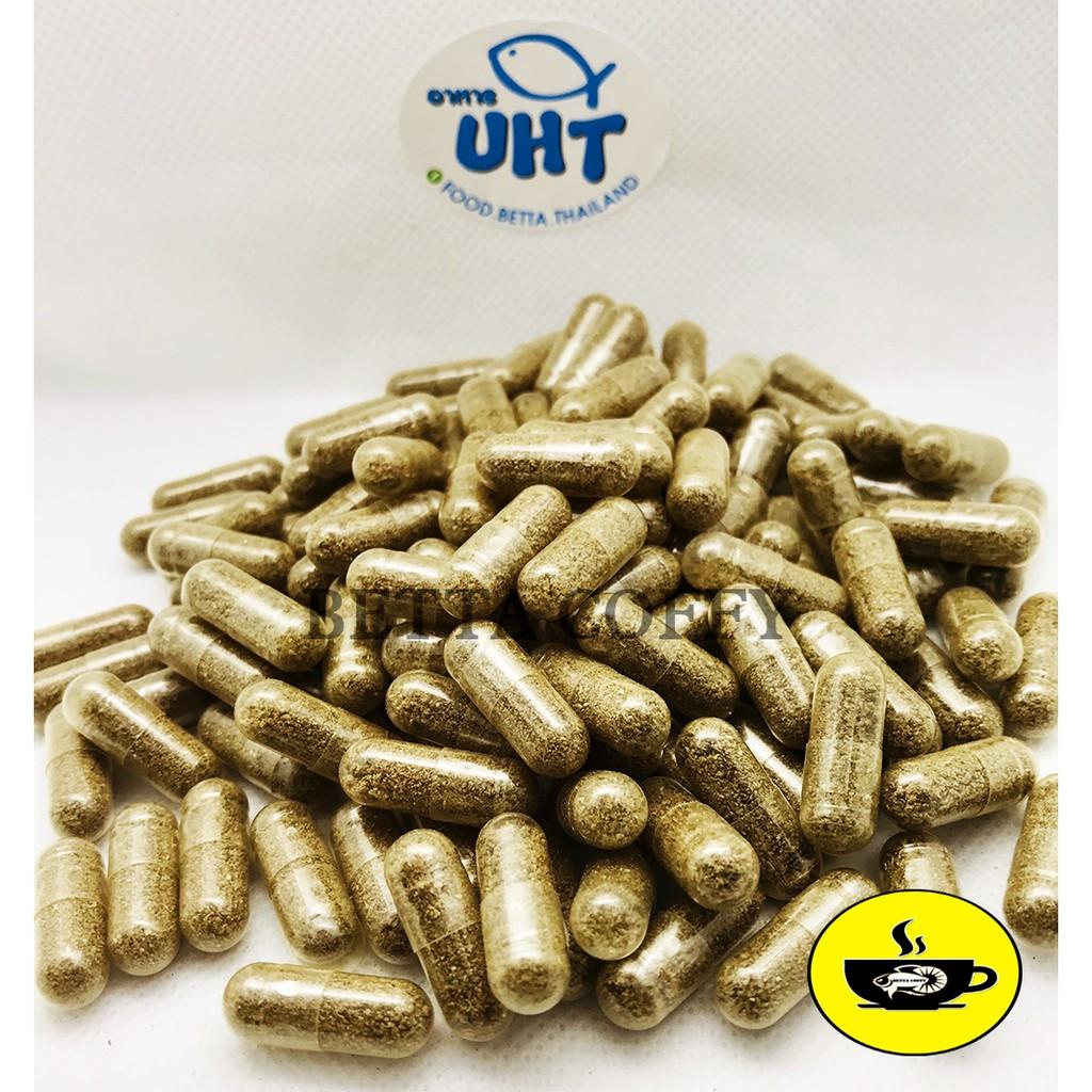Tảo Bột Xanh - Thức ăn cho Artemia và cá con