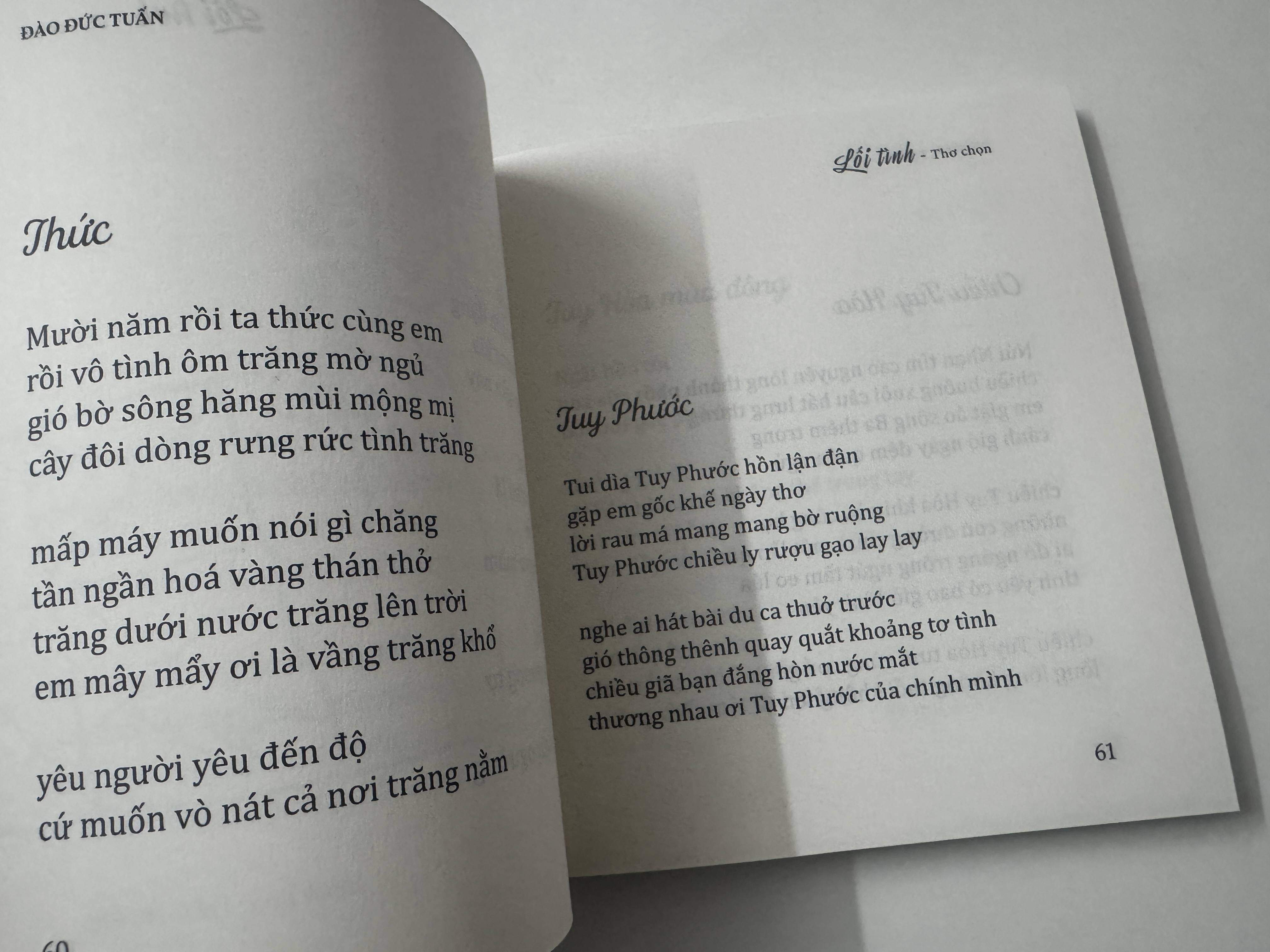 Sách - Lối tình - thơ Đào Đức Tuấn