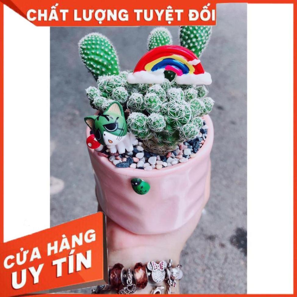 Sen đá mix tiểu cảnh 13