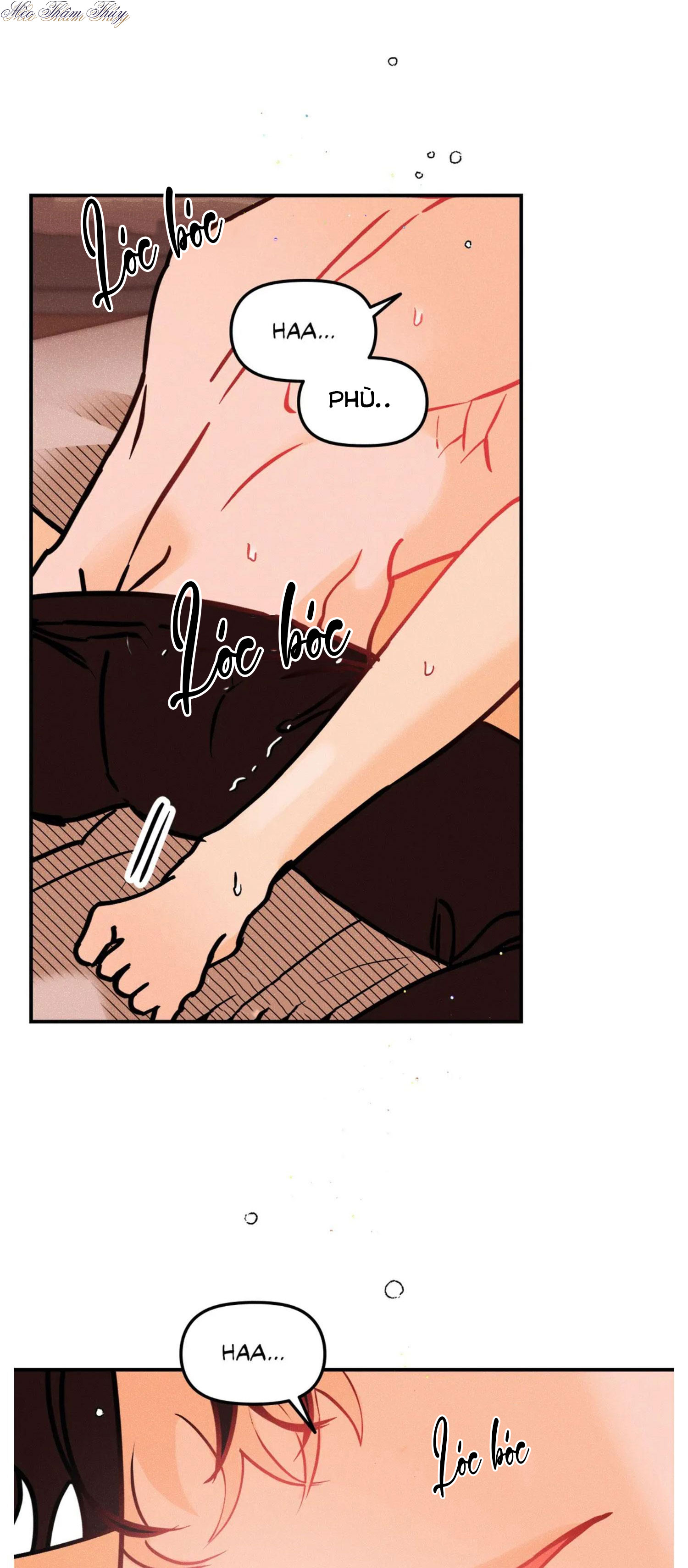 punk dunk funk chapter 42 24