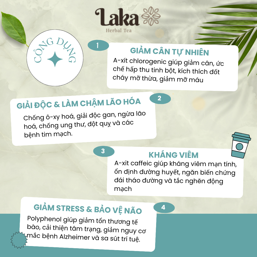 Combo Full - 4 Hộp Trà Cà Phê Cascara LAKA 100gr, 100% quả cà phê chín mọng