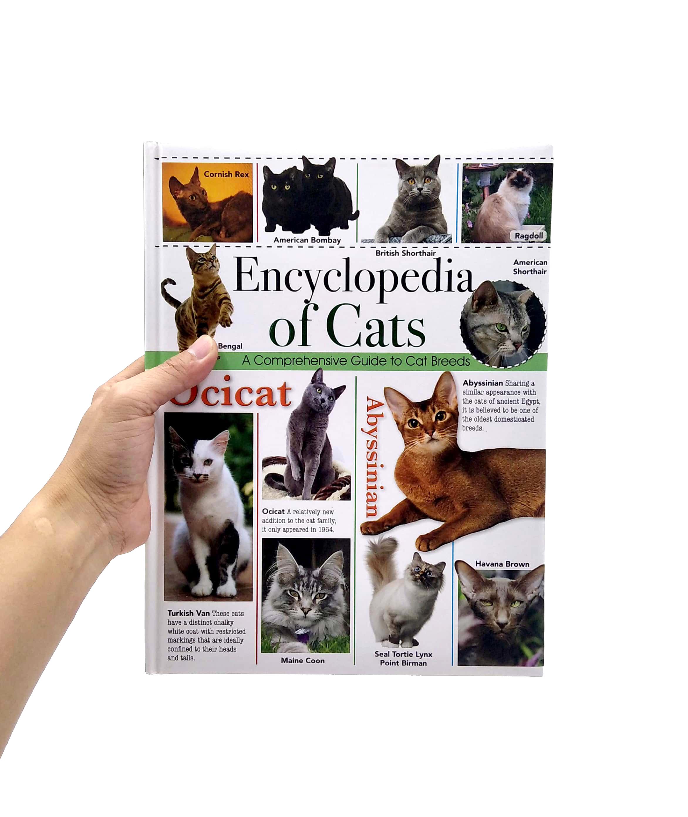 Encyclopedia Of Cats