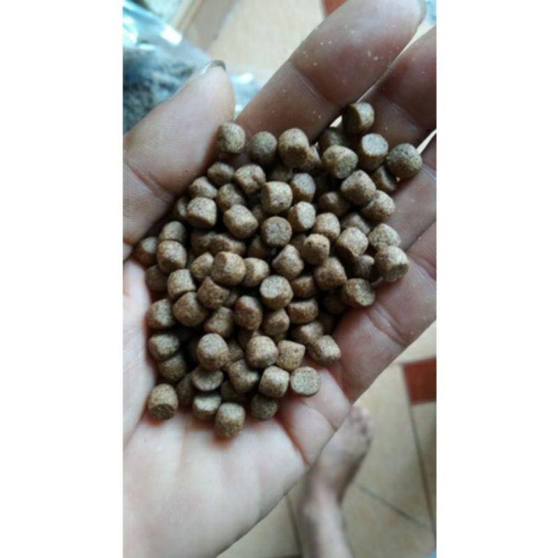 1kg cám koi King feed 42% đạm