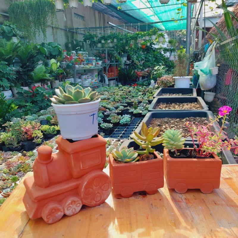 Chậu đất nung Bình Dương - Đoàn tàu xe lửa gồm 1 đầu tàu cao 15cm x rộng 9cm, 2 toa mỗi toa dài 12 x cao 9cm x rộng 8cm