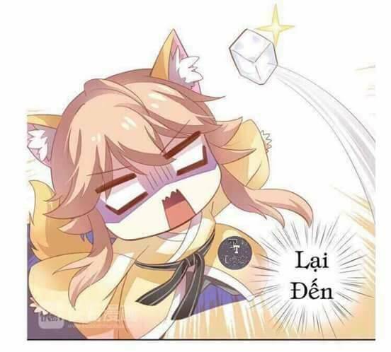 dưới móng vuốt mèo chapter 3 22