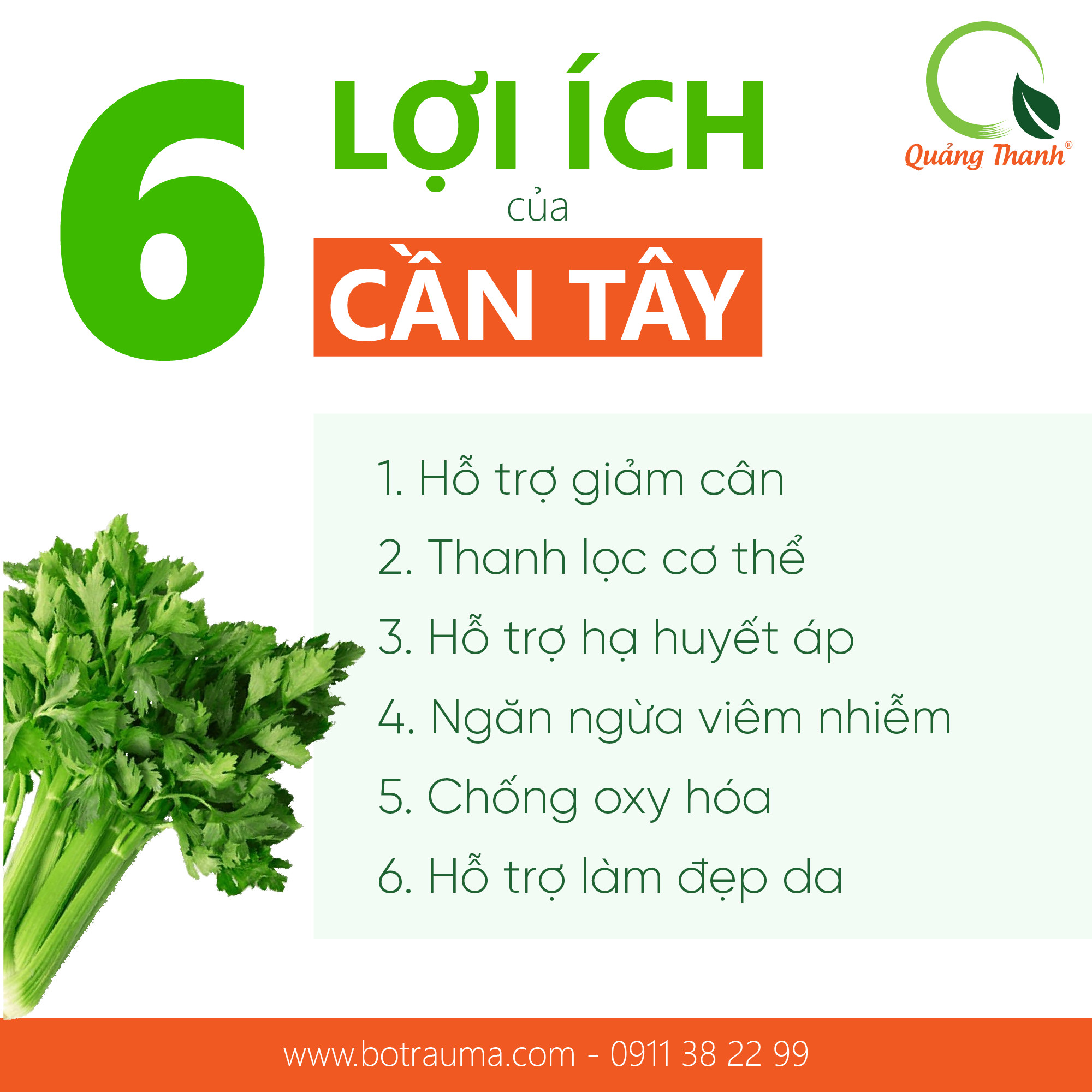 Combo 3 gói Bột Rau Sức Khỏe Quảng Thanh - Quà tặng ý nghĩa cho gia đình - Diếp cá 100g,Rau má 100g,Cần tây 50g