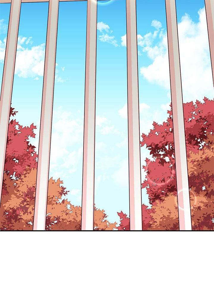 công chúa của loài chim chapter 1 49