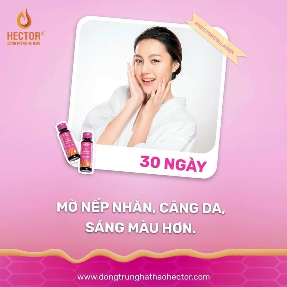 Combo 6 Hộp (60 Chai) Nước Đông Trùng Hạ Thảo Hector Collagen (Tiết kiệm 180k)