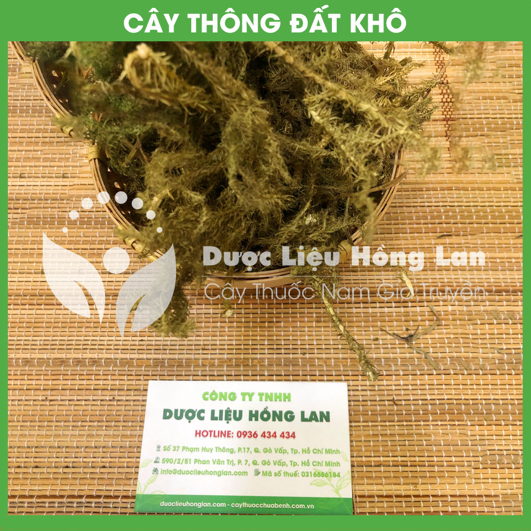 Cây Thông Đất khô sạch đóng gói 1 ký