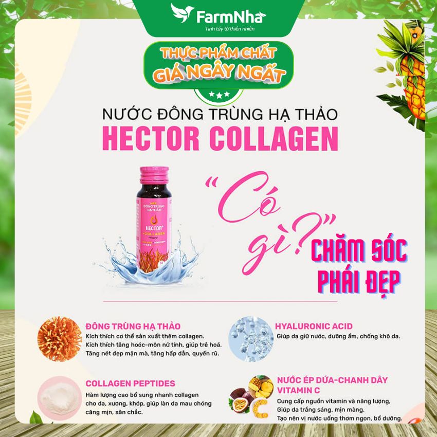 Nước Đông Trùng Hạ Thảo Hector Collagen (Hộp 10 Chai) - Hỗ trợ tăng đề kháng, giúp dưỡng ẩm, phục hồi và làm đẹp da