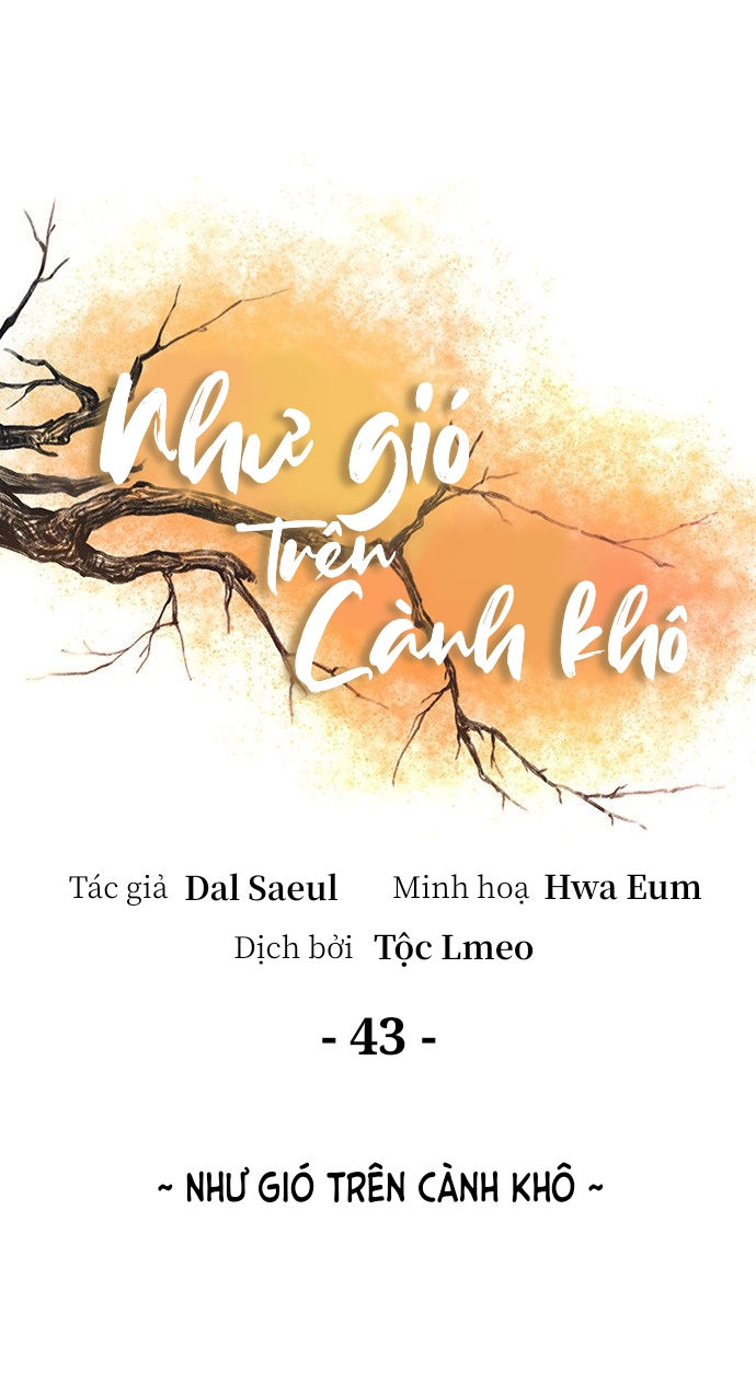 như gió trên cành cây khô chapter 43 1