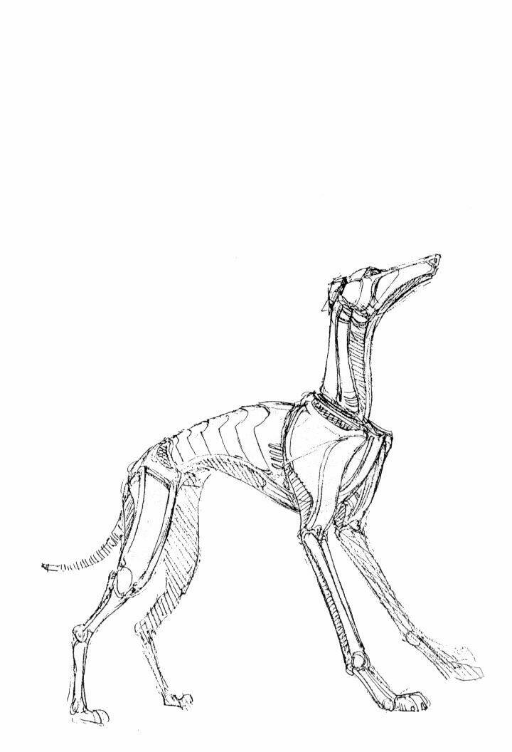 thiên thần chiến tranh alita chapter 26 45