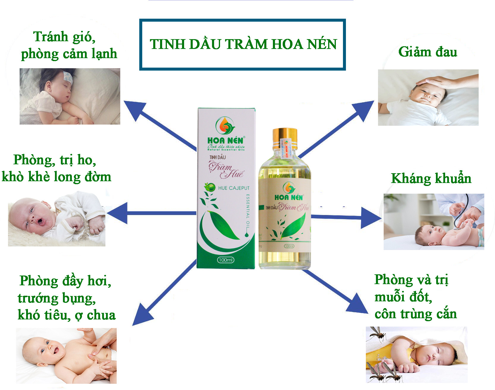 Tinh dầu tràm 5ml - Hoa Nén