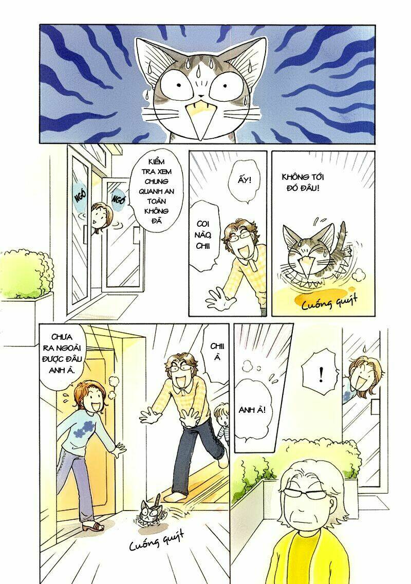 chi's sweet home chapter 36 2