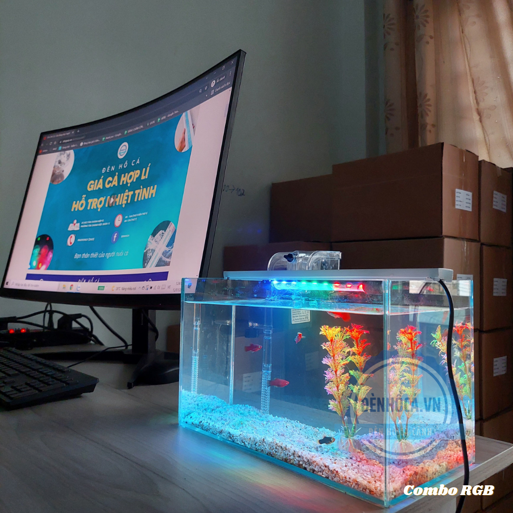 Bể cá mini để bàn COMBO C20RGB - giá rẻ đầy đủ phụ kiện