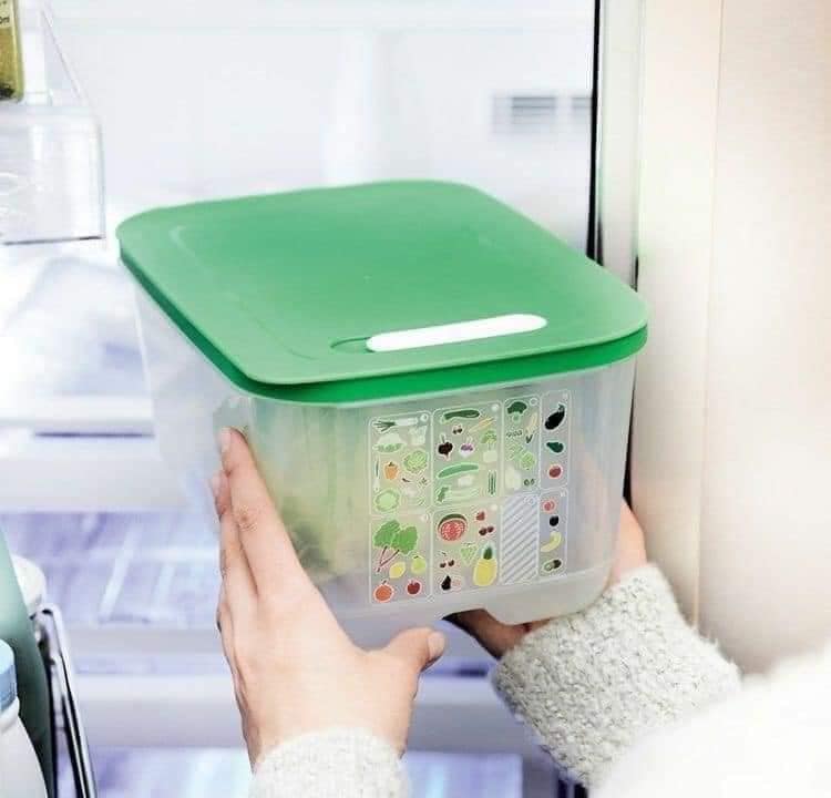 Hộp trữ mát Tupperware có nút hô hấp Ventsmart 4.4L