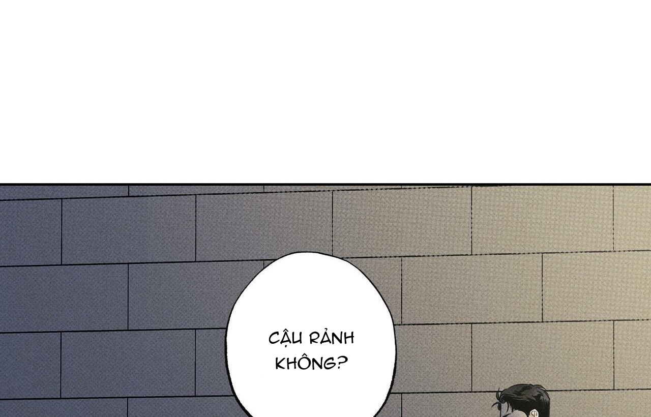 chàng giao pizza và gold palace chapter 15 141
