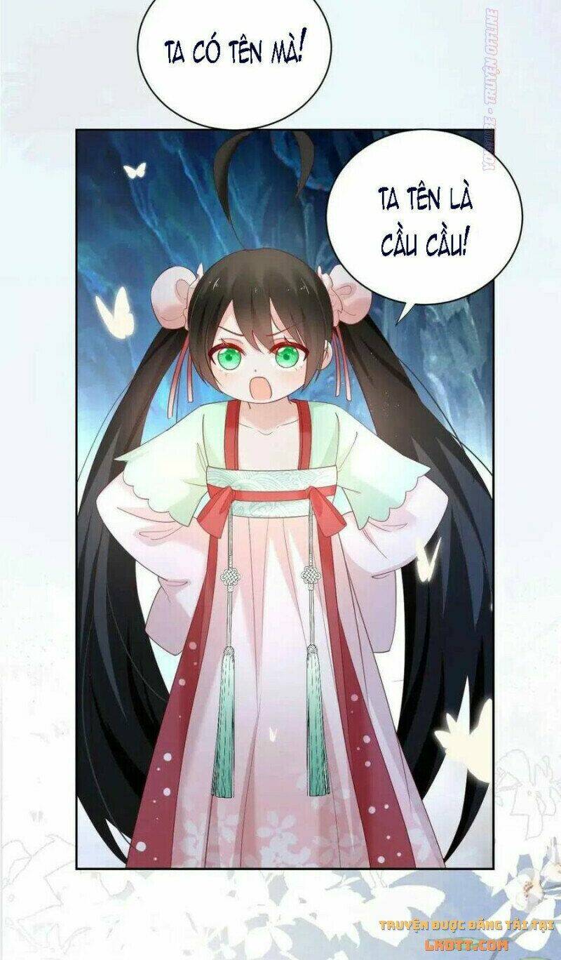 hắc hóa nam chính trực tuyến nuôi thỏ chapter 53 24