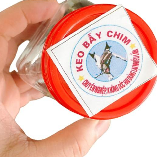 Keo Dính Chim - Bẫy chim Sẻ, Cu Gáy, Chào Mào siêu dính