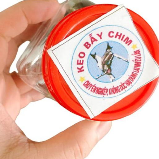 [ XẢ HẢNG GIÁ GỐC ] Keo Dính Chim - Bẫy chim Sẻ, Cu Gáy, Chào Mào siêu dính