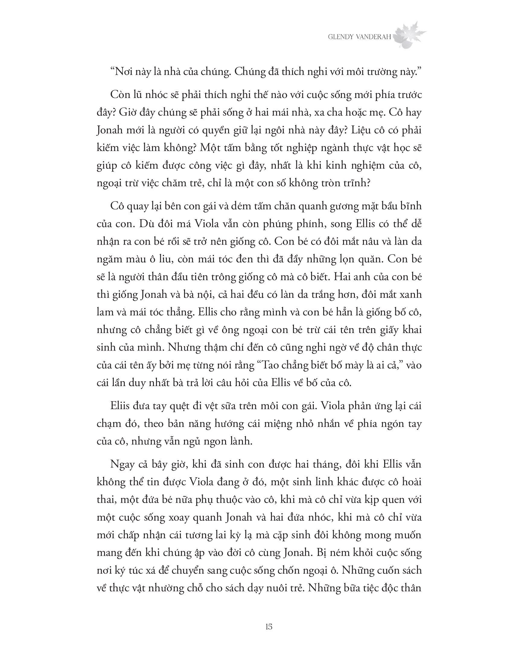 Nắng Xuyên Qua Vòm Lá