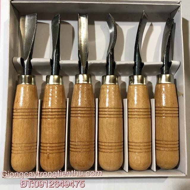 BỘ ĐỤC CÂY CẢNH,GỖ MỸ NGHỆ 6 MÓN