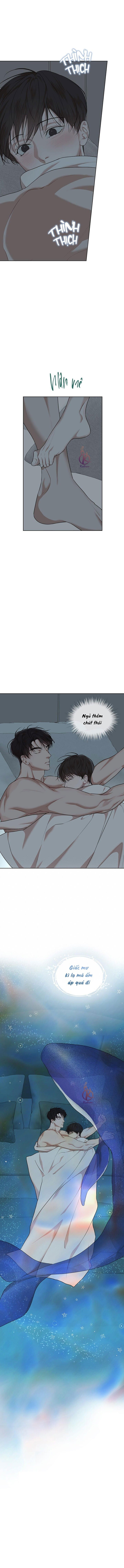 hình thái khởi sinh chapter 76 13