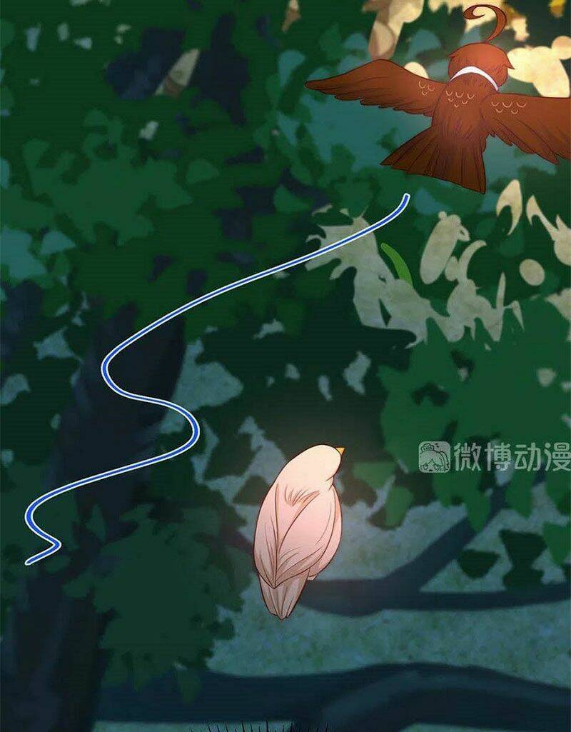 nam thần truy thê chỉ nam chapter 106.2 28