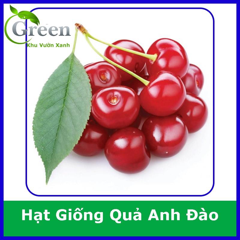 Hạt Giống Quả Anh Đào Cherry Xuất Xứ Đức (5H)