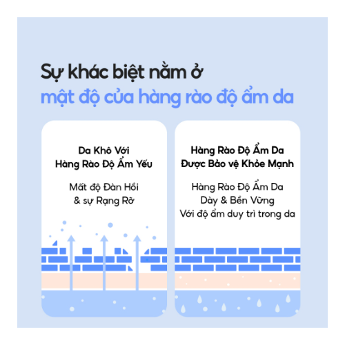 [Sản phẩm lõi thay thế] Kem Dưỡng Ẩm Water Bank Blue Hyaluronic Moisture Cream 50ml (Da Khô Và Xỉn Màu)