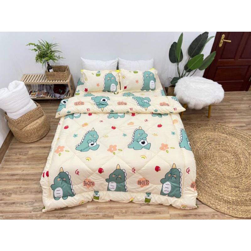 Bộ Chăn Ga Gối Cotton Poly 5 Món