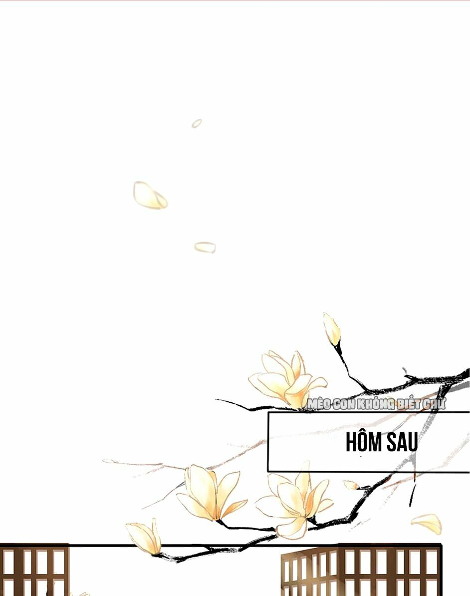 bốc toán tử chapter 11 1