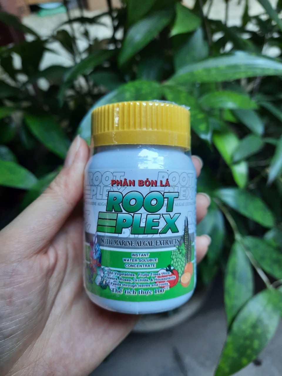 Phân bón lá hữu cơ ROOT PLEX hũ 100 cc tăng cường sinh lực cho cây