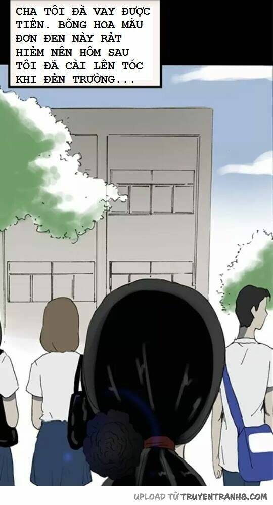 hoa mẫu đơn đen chapter 3 14