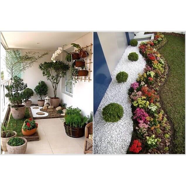Đá trắng trang trí gốc cây, bể cá