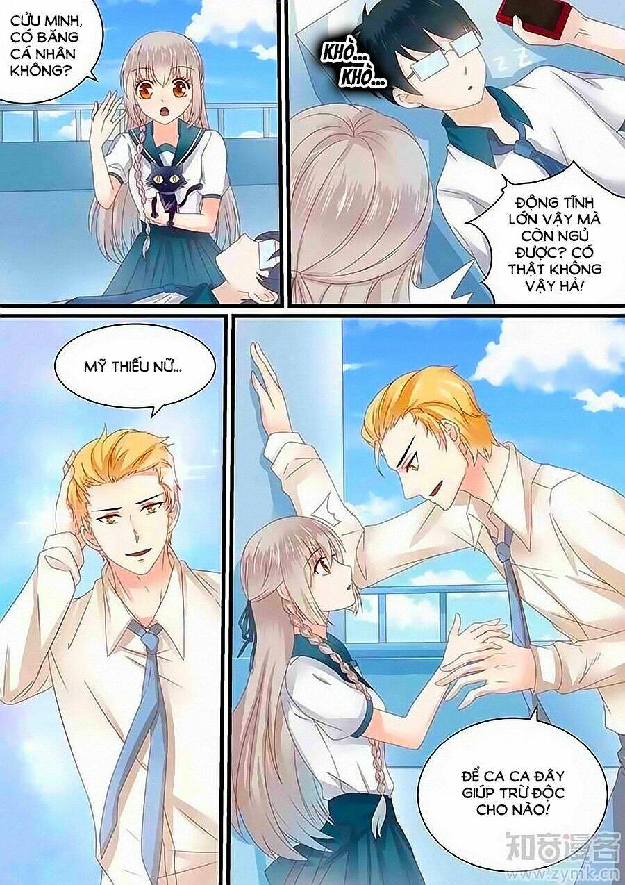 luyến ái sinh tử bộ chapter 61 2